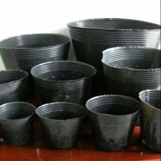 Combo 10 túi nhựa dẻo trồng cây kích thước 18x14 giá 30k/10 túi