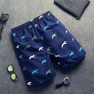 Quần Đi Biển Chất Dù Siêu Đẹp POBE Nhanh Khô, Quần short bơi nam nhanh khô mùa Hè (Chim hải âu)