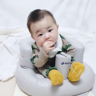 Ghế hơi Richell 3291/ RC98010