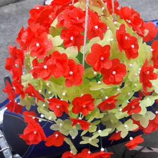 Hoa gấm cánh tròn