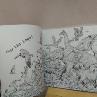 Sách Animorphia thế giới hoang dã