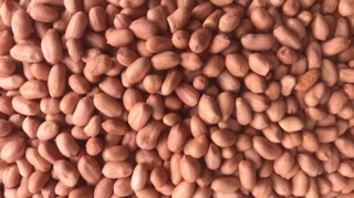 200gr Lạc trắng mẩy bùi