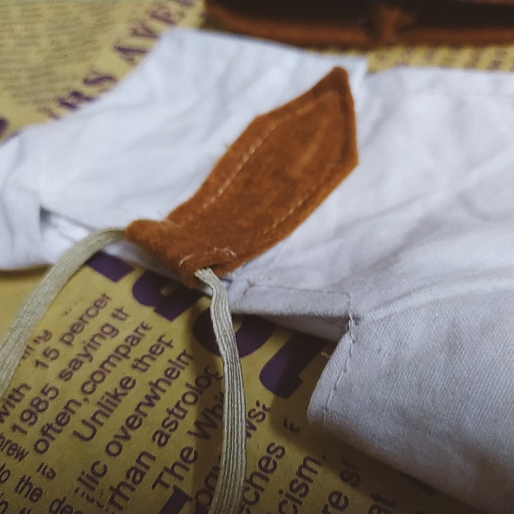 Thanh Xuân Cho Doll 20cm