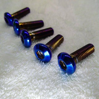 Bộ 10 con ốc gắn đĩa màu titan cao cấp (nhập khẩu) dùng cho các dòng xe HONDA- Hình thật sản phẩm