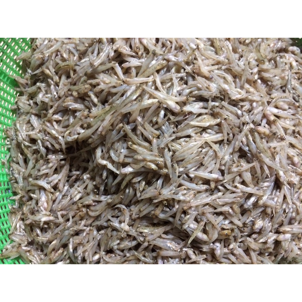 Cá Bống Sông Trà (100% Cá nhỏ) - Đặc Sản Quảng Ngãi hủ 300gr | BigBuy360 - bigbuy360.vn