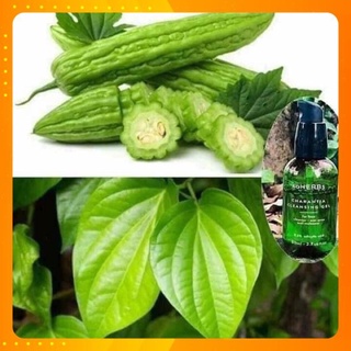 Gel sữa rửa mặt khổ qua soherbs