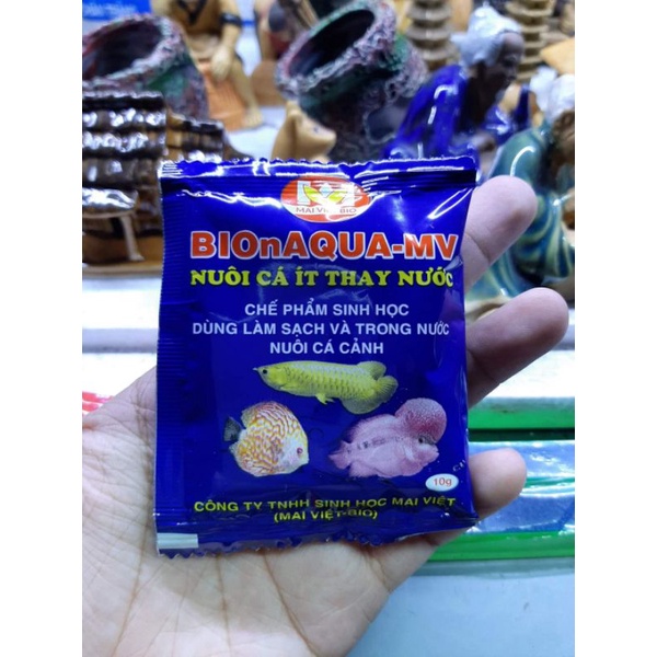 Men vi sinh Mai Việt