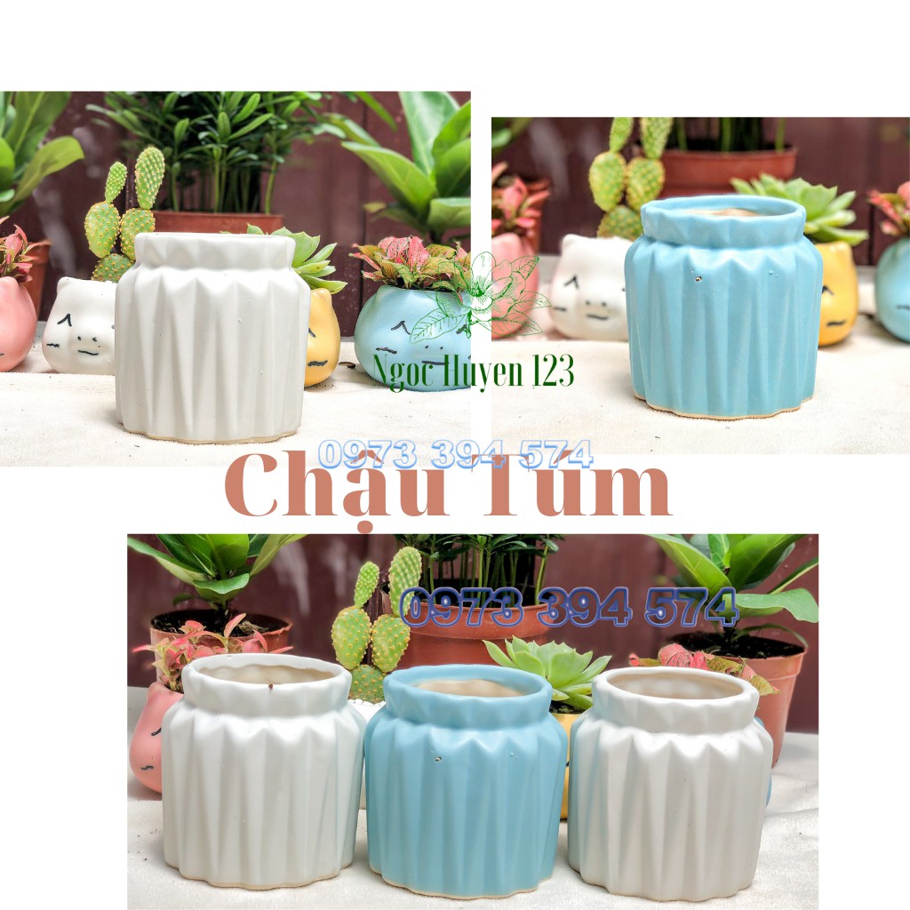 [ Chậu Sứ Bát Tràng]- Chậu Trồng Sen Đá, Xương Rồng, Cây Để Bàn- Chậu Túm Vân Nổi (KT 7cm x 9cm)