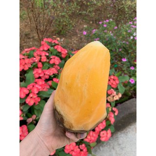 Combo 3kg sâm đất Y Tý