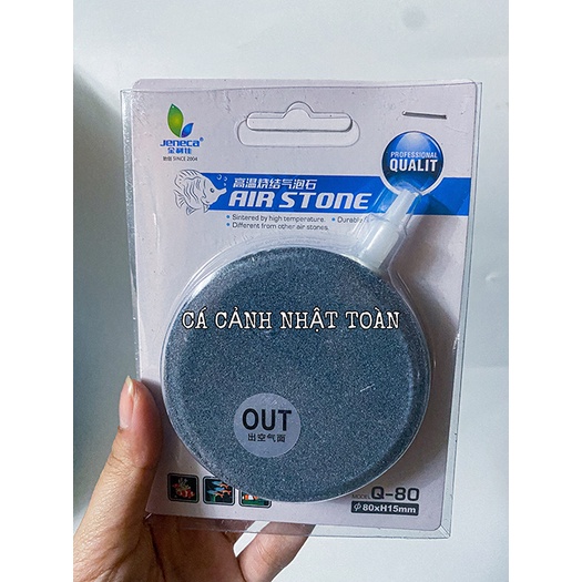 SỦI DĨA OXY BỂ CÁ CẢNH 10CM 12CM
