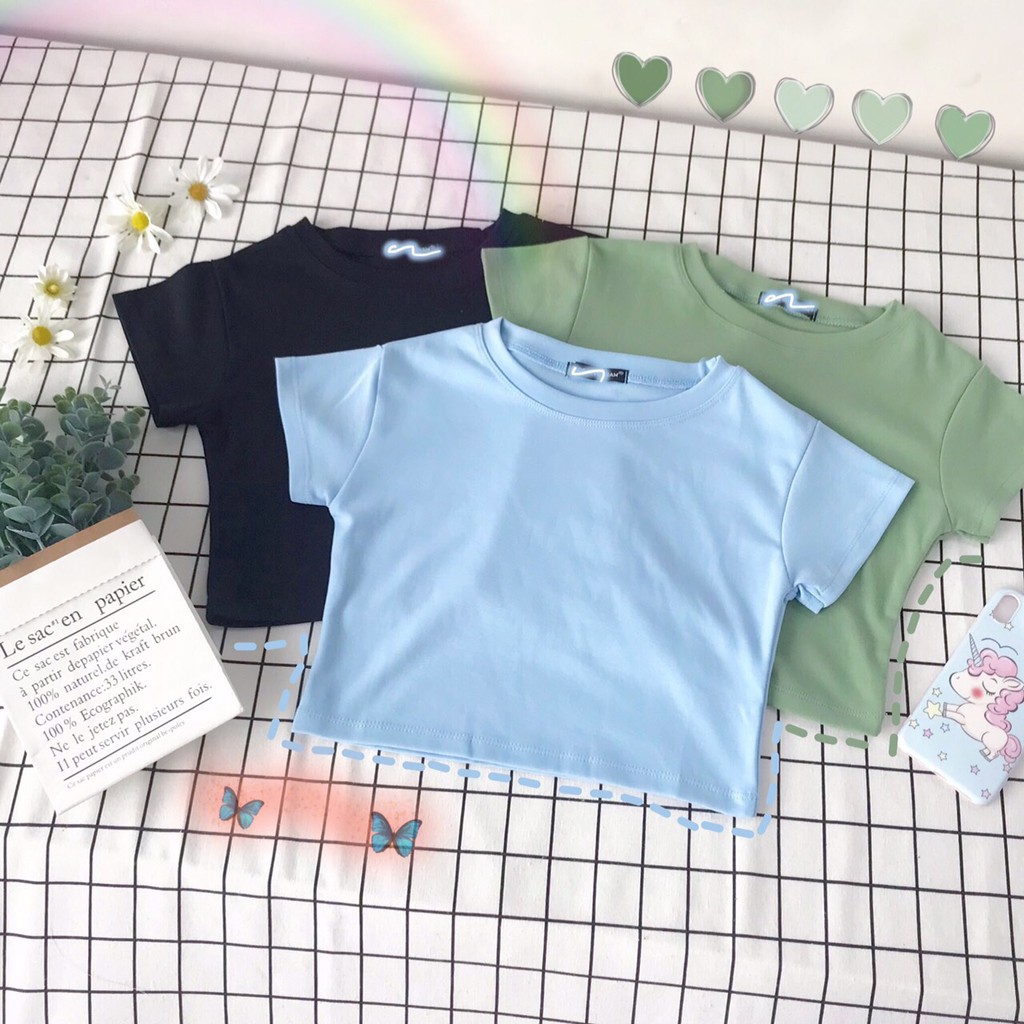 Áo Crotop Body Full màu | BigBuy360 - bigbuy360.vn