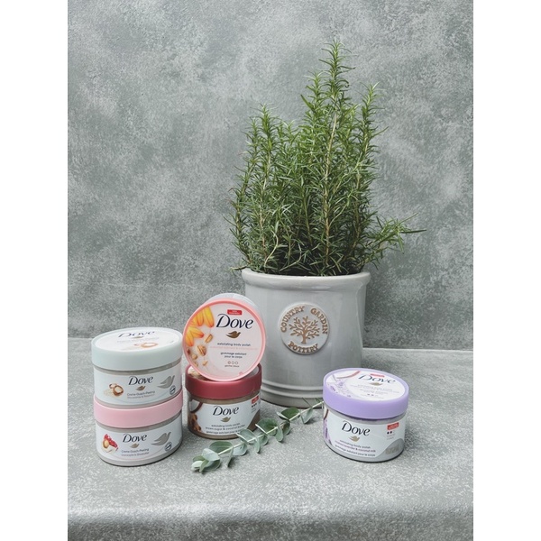 [Mỹ/Đức] Kem tẩy tế bào chết Dove Exfoliating Body Polish