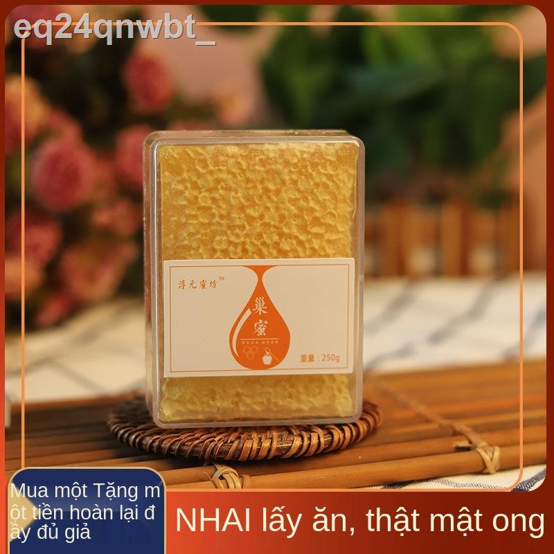 ❏♈Mật ong tổ ong Mật ong đóng hộp Mật ong đất tự nhiên Trang trại hoang dã Baihua được sản xuất và nấu chảy Mật ong trưở