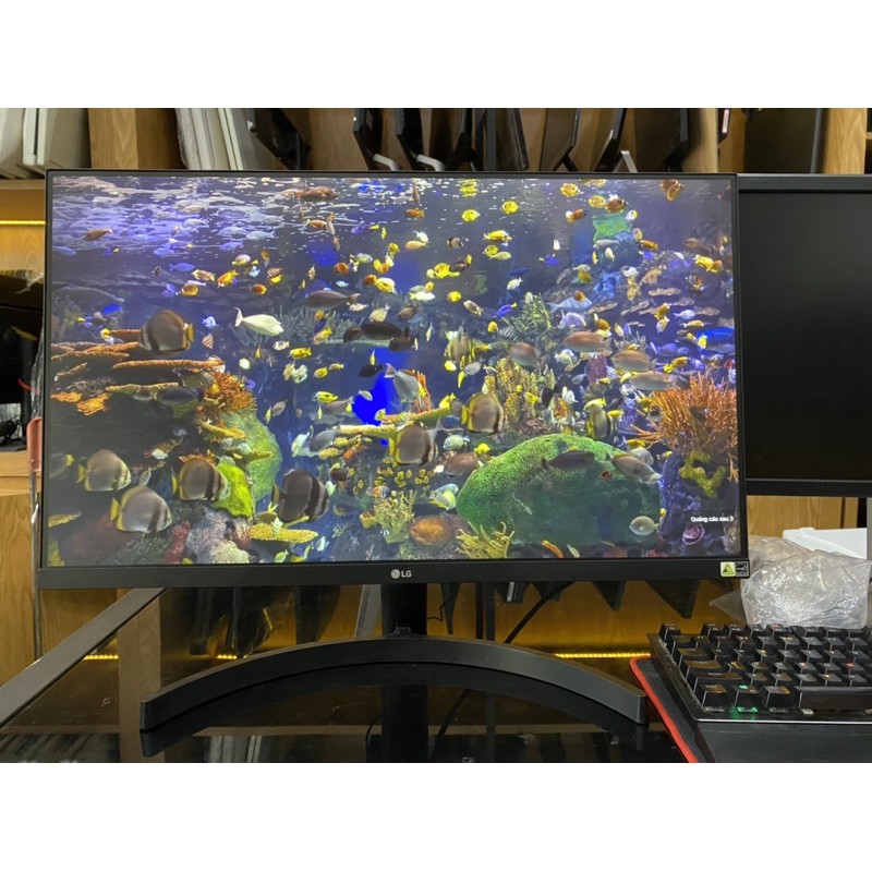 MÀN HÌNH 27 INCH LG27MK600 75HZ PHUN BOX | BigBuy360 - bigbuy360.vn