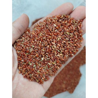 Gạo lức lúa tiêu