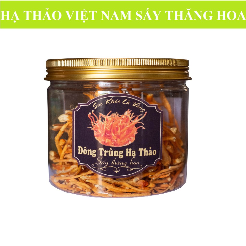 10g Đông Trùng Hạ Thảo khô sấy thăng hoa - Cây Nấm Việt