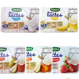 Sữa chua Pho Mai Bledina Pháp Date 2022