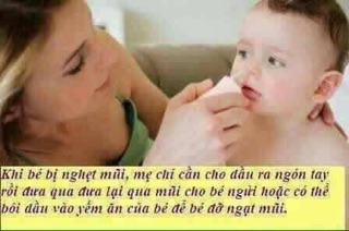 Dầu tràm bé thơ combo 3 chai
