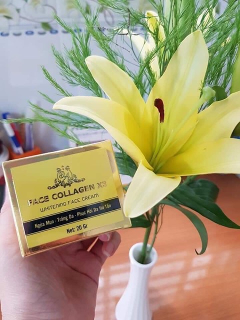 KEM FACE COLLAGEN X3 Cty ĐÔNG ANH