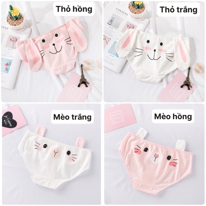 Quần lót hoạt hình Hot Trend 🤩🤩🤩