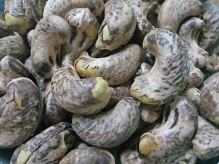 Hạt điều rang củi ( Cô hai BP)- hộp 500g