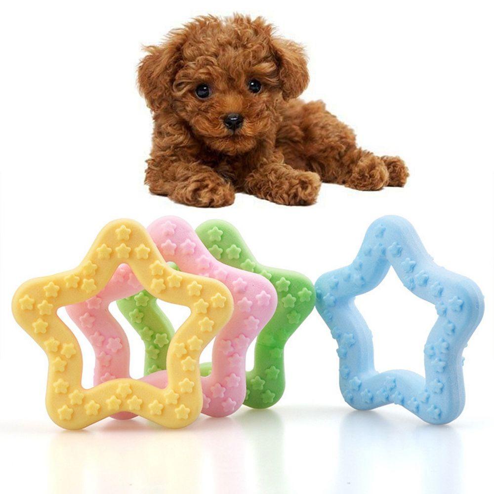 Đồ Chơi Ngậm Cắn Đàn Hồi Huấn Luyện Thú Cưng