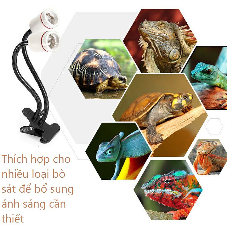 Kẹp giữ đèn sưởi gốm sứ cho bò sát 2 đầu