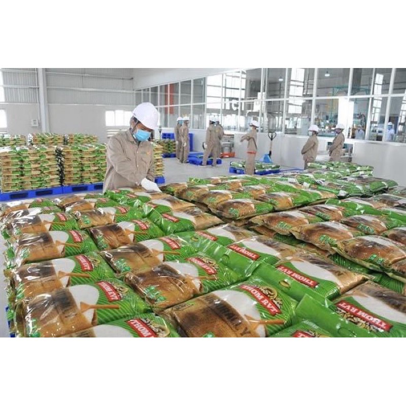 Gạo thơm RVT 5kg của Vinaseed