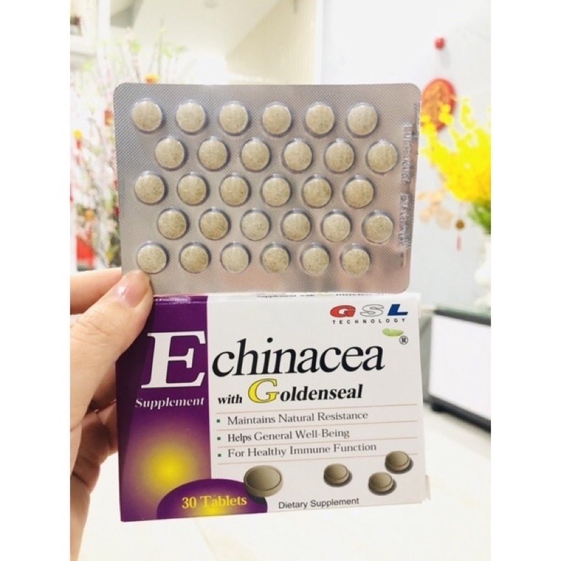 Viên nén Echinacea hỗ trợ miễn dịch 30Tab Mỹ