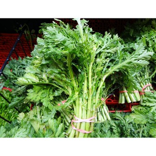 Hạt giống rau cải cúc tẻ - 20gr