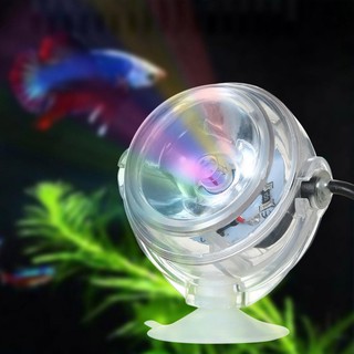 Đèn Led Mini Hình Cá Nhiệt Đới Độc Đáo