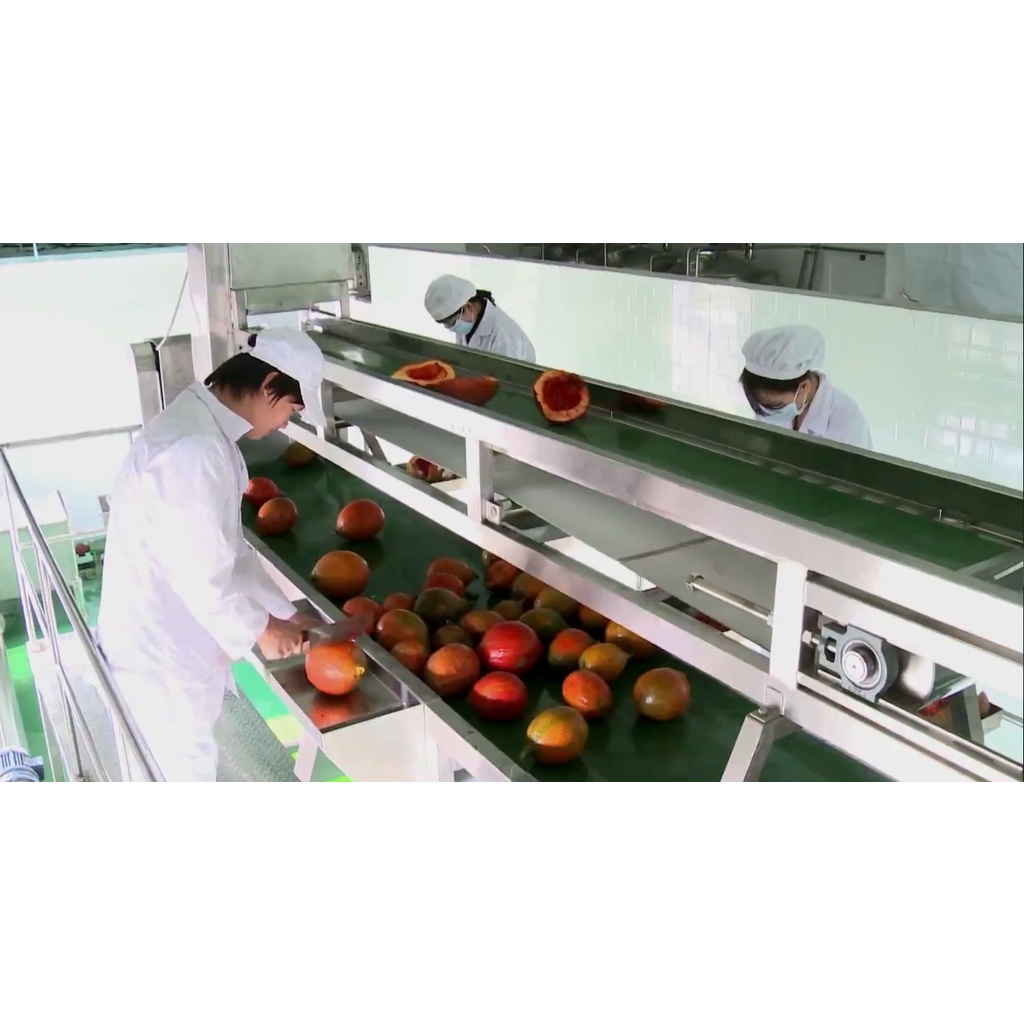 Bột Tạo Màu Nấu Xôi Làm Bánh: bột Gấc sấy phun nguyên chất