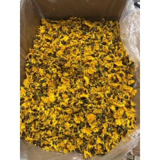 Sỉ như lẻ trà hoa cúc vàng 250g - 500g