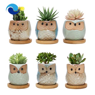 Bộ 6 chậu trồng cây hình cú mèo/chim cú dễ thương với lỗ thoát nước và khay tre