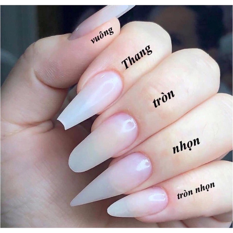 Móng úp. Nailbox thiết kế mẫu tráng giương phối nhũ