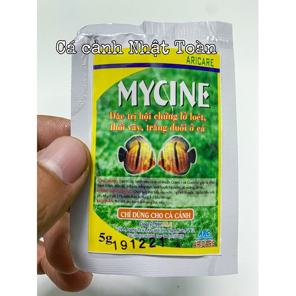 MYCINE LỠ LOÉT THỐI VÂY MỤC ĐUÔI CHO CÁ CẢNH ARC 5G