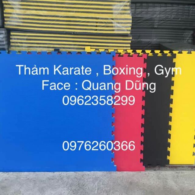 Thảm tập karate, boxing, gym