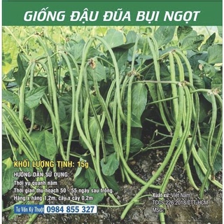 Giống Đậu đũa bụi ngọt