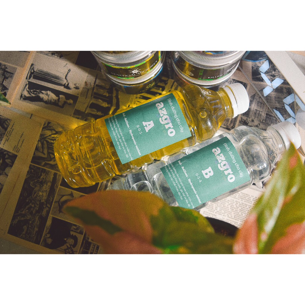 Dinh dưỡng cho cà chua AZGRO