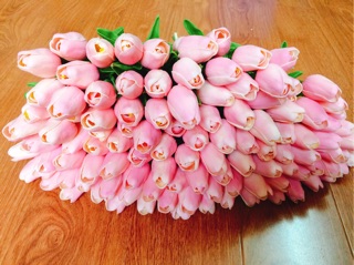 Hoa tuylip