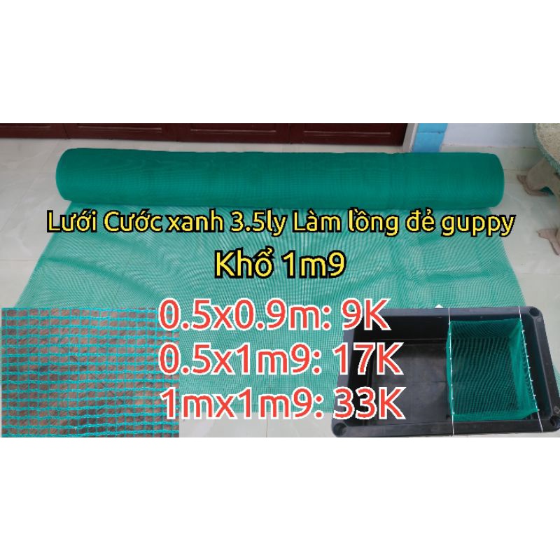 Lưới 3.5 ly làm lồng đẻ cá guppy, cá cảnh