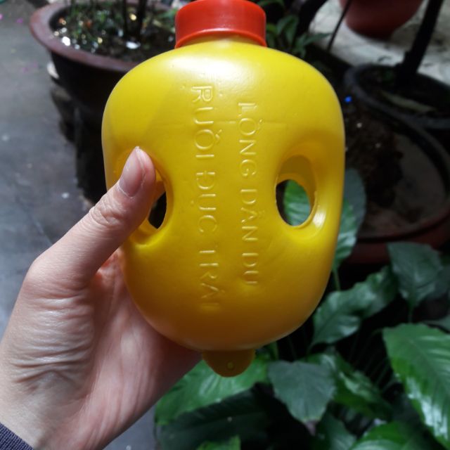 Combo 5kg Phan dê,  20 đèn bẫy,  300 miếng bẫy