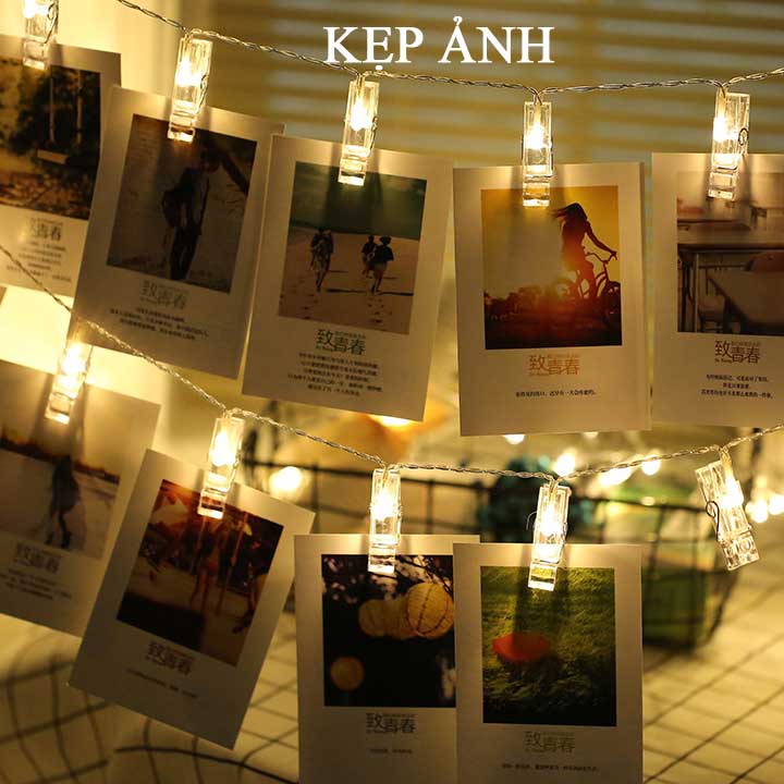 Đèn led trang trí không chớp 4m 20 bóng nhiều kiểu [hàng chất lượng]