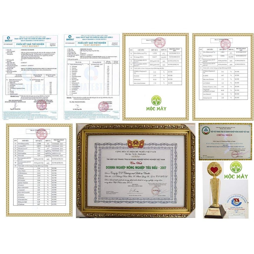 Tinh Dầu Tràm Cao Cấp Nguyên Chất 100% Hãng MỘC MÂY (Hàng Loại 1) - NK