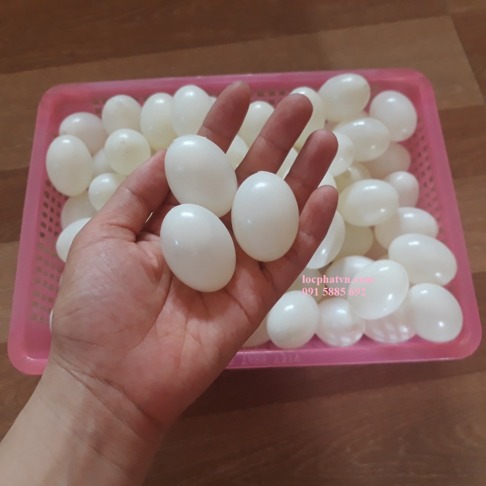 Trứng bồ câu giả, nước bên trong, vỏ nhựa dày không méo, màu trắng cho chim ấp TRN-TR1VC