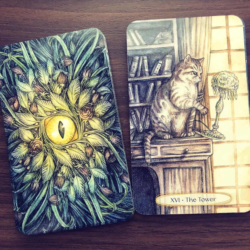 Bài Soul Cats Tarot