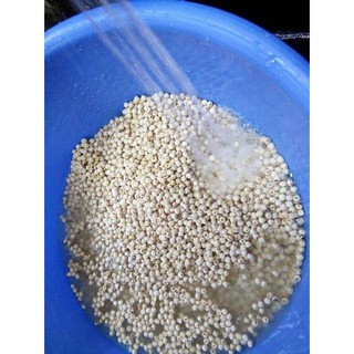 Ngũ Cốc Vì Con ( Nhiều sữa- sữa đặc) 1 kg