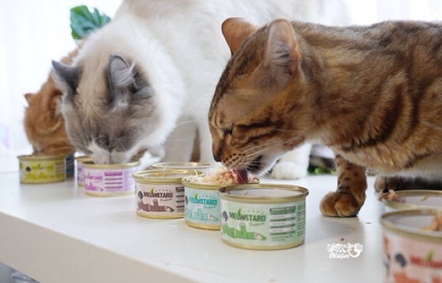 Pate Meowstard Hộp 80Gr Cho Mèo 15 Vị Thơm Ngon