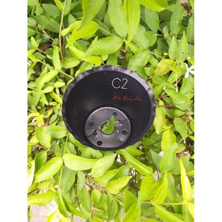 100 Chậu nhựa đen C2
