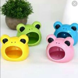 Nhà ngủ dành cho hamster hình ếch